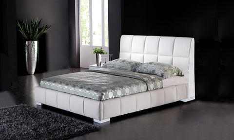 Modern Bed